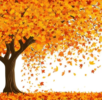 Illustration shedding - Image 1