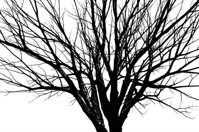 Illustration fingers - Image 1