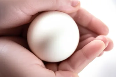 Illustration baba - Image 1