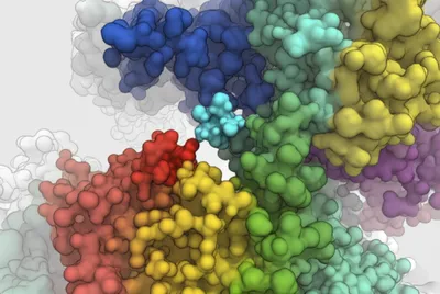 Illustration moiety - Image 1