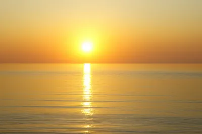 Illustration rises - Image 1