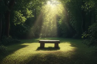 Illustration stead - Image 1