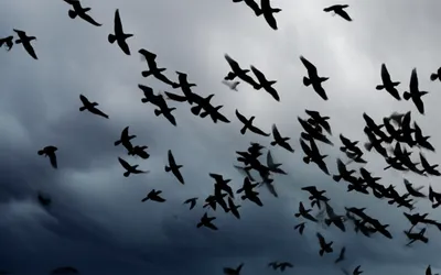 Illustration panic - Image 1