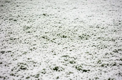 Illustration covered - Image 1