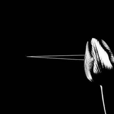 Illustration shelves - Image 1