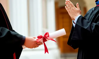 Illustration certification - Image 1