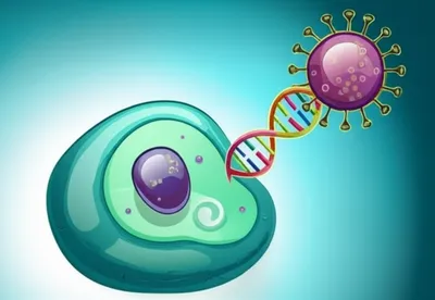 Illustration delivery - Image 1