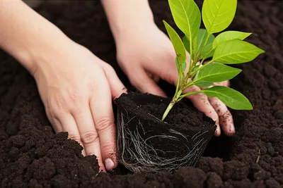 Illustration grounded - Image 1