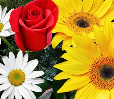 Illustration flowers - Image 1