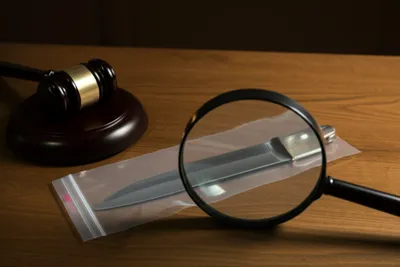 Illustration exhibits - Image 1