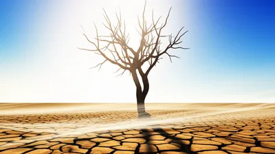 Illustration sundered - Image 1