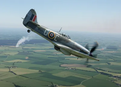 Illustration rhubarb - Image 1