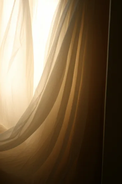 Illustration petticoat - Image 1