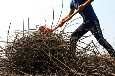 Illustration ridding - Image 1