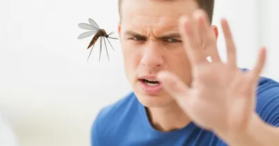 Illustration rode - Image 1