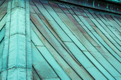 Illustration verdigris