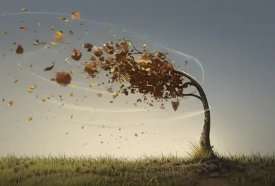 Illustration knees - Image 1