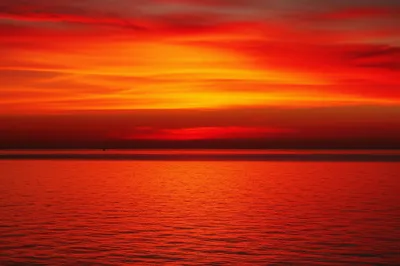 Illustration vermillion - Image 1