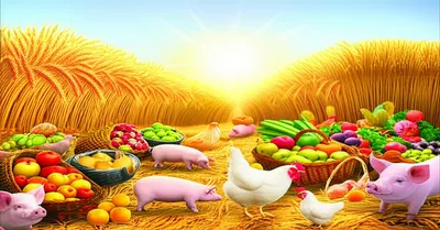 Illustration filled - Image 1