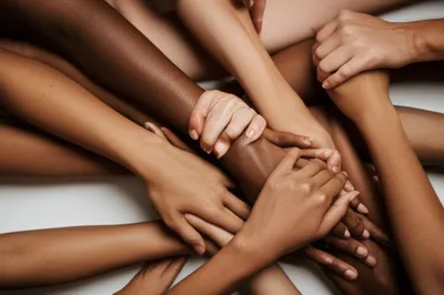 Illustration colors - Image 1