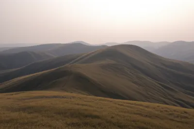 Illustration degrading - Image 1