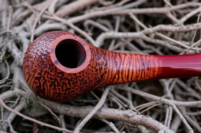 Illustration briers - Image 1