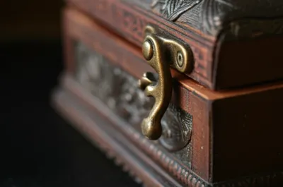 Illustration catches - Image 1