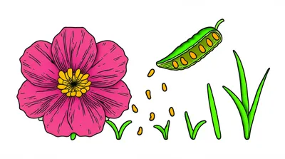 Illustration reproduced - Image 1