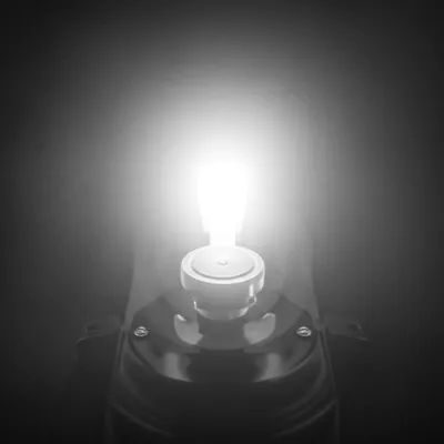 Illustration dits - Image 1