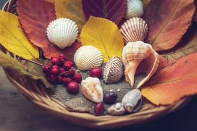 Illustration gathered