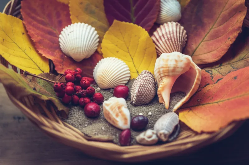 Визуальная иллюстрация слова «gathered» - Собирать, накапливать