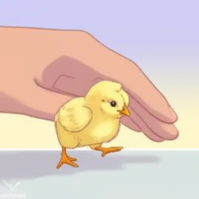 Illustration easiest - Image 1