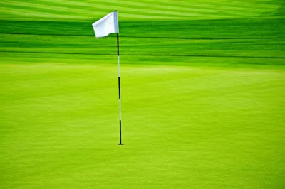 Illustration pins - Image 1