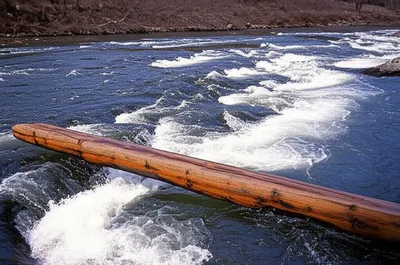 Illustration thwarts - Image 1