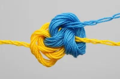 Illustration snarled - Image 1