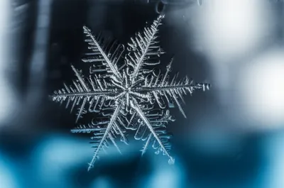 Illustration crystallizing - Image 1