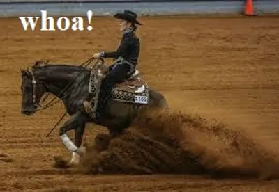 Illustration whoa - Image 2