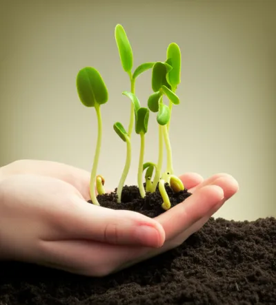 Illustration young - Image 1