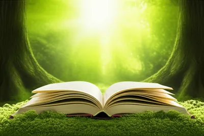 Illustration where - Image 1