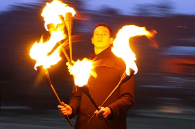 Illustration coped - Image 1