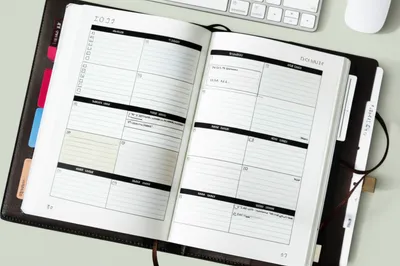 Illustration diary - Image 1