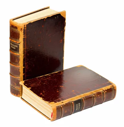 Illustration clone - Image 1