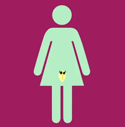 Illustration pussy - Image 2