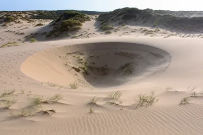 Illustration blowout - Image 1