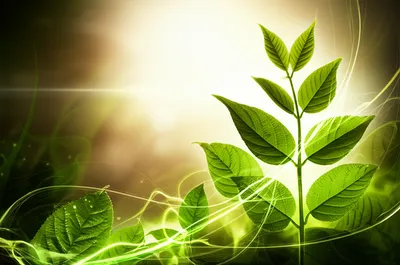 Illustration live - Image 1