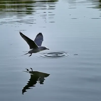 Illustration shaving - Image 1