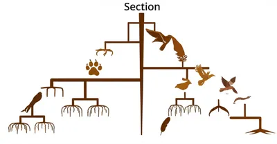 Illustration subsections - Image 1