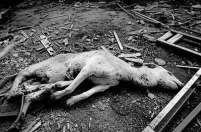 Illustration hamburger - Image 1