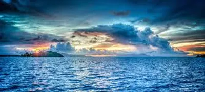 Illustration marine - Image 2