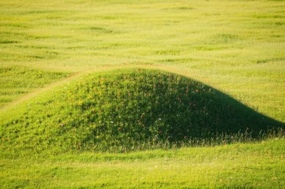 Illustration mamelon